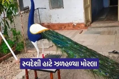 bhavnagar women bead work peacock art award 1