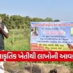 natural farming patan farmer success
