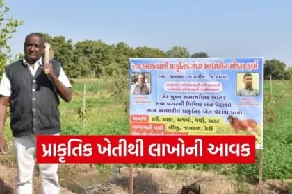 natural farming patan farmer success