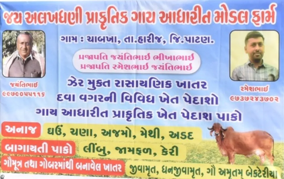 પ્રાકૃતિક ખેતી અપનાવી પાટણના ખેડૂતે વધારી આવક, જમીનની તંદુરસ્તી સાથે ટકાઉ કૃષિનો માર્ગ ખુલ્યો 2 natural farming patan farmer success.jpeg