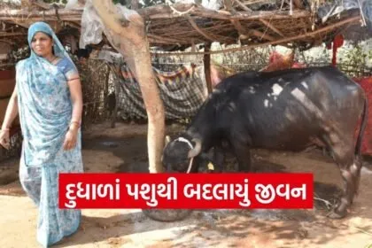sabarkantha tribal dairy support success