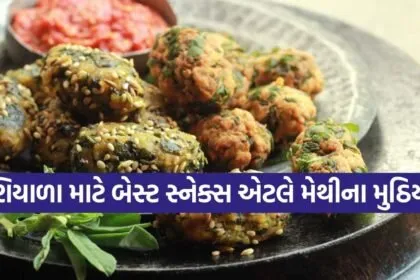 Methi Muthiya