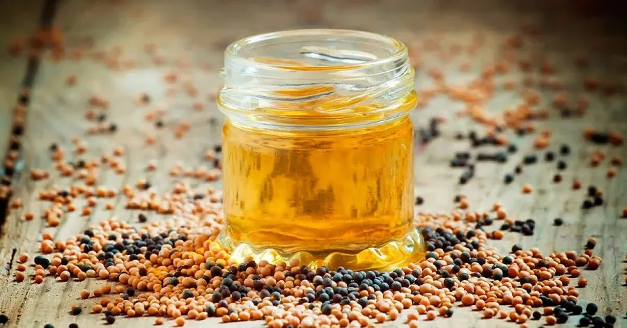 રોજ રસોઈ બનાવવા માટે કયું તેલ છે સૌથી બેસ્ટ? જાણો સ્વાસ્થ્ય માટે કયા તેલની પસંદગી કરવી જોઈએ 2 oil2.jpg