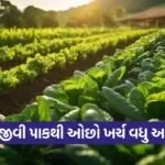 natural farming symbiotic crops soil water nitrogen cycle 1