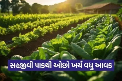 natural farming symbiotic crops soil water nitrogen cycle 1