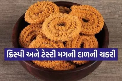 Moong Dal Chakli