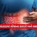 dharmishtha 1 2026 01 30T151625.974