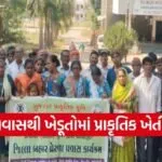 surat mandvi natural farming training visit