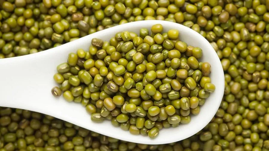 પેટના ગેસથી પરેશાન છો? આ દાળ ખાવાથી મિનિટોમાં મળશે છુટકારો 2 green moong.jpg