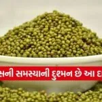 dharmishtha 1 2026 01 30T165427.081