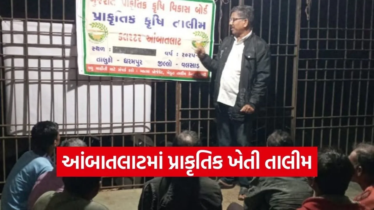 dharampur ambatalat natural farming training valsad.jpg