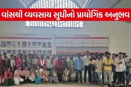 dediapada bamboo skill development student field visit
