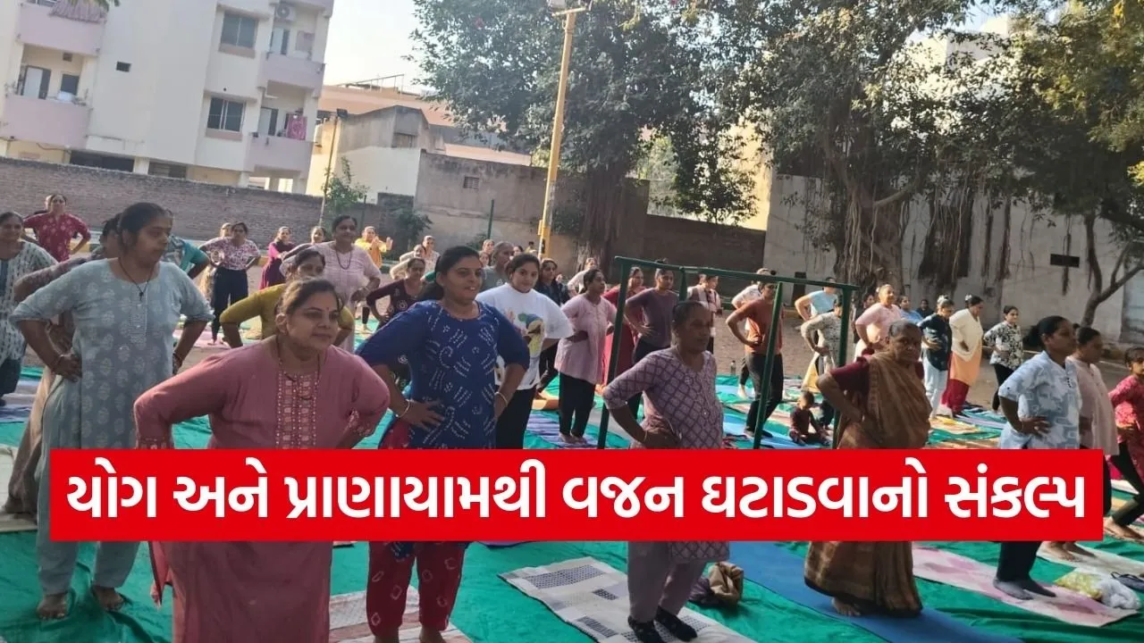 rajkot obesity free yoga camp gujarat.jpg