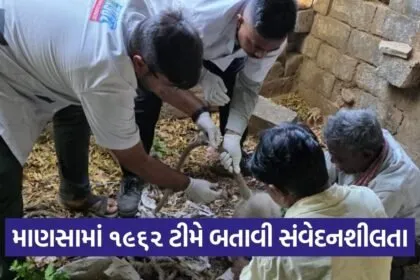 mansa monkey rescue 1962 animal ambulance gujarat 1