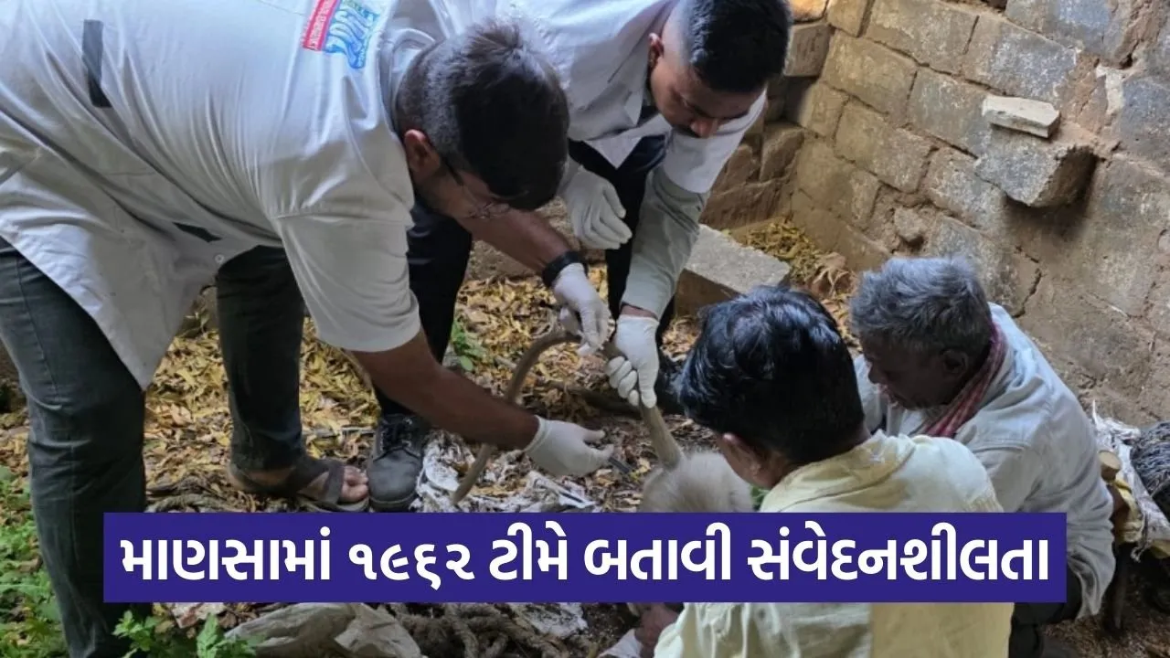 mansa monkey rescue 1962 animal ambulance gujarat 1.jpg