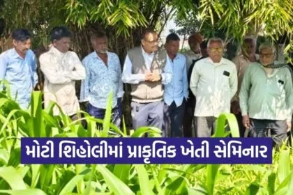 pkvy natural farming moti shiholi gandhinagar 1