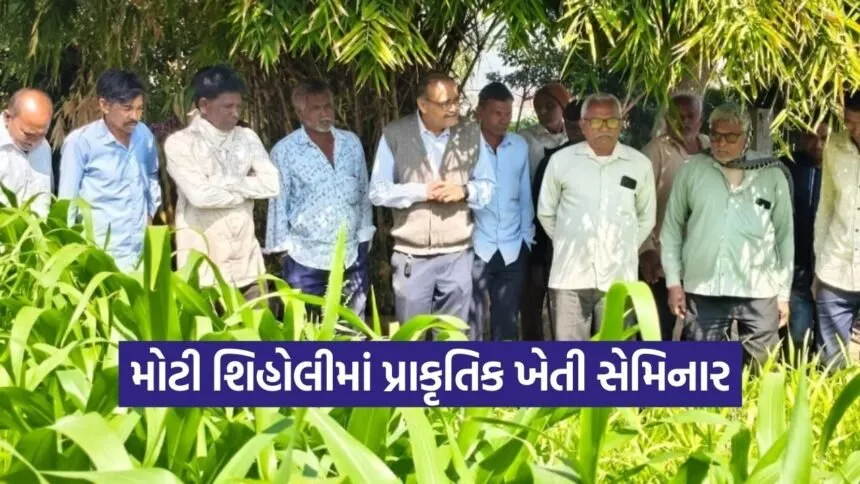 pkvy natural farming moti shiholi gandhinagar 1