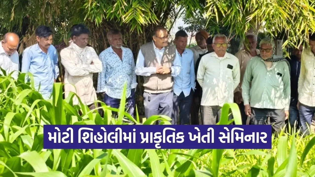 pkvy natural farming moti shiholi gandhinagar 1.jpg