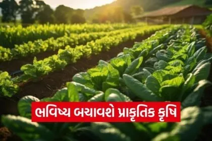 natural farming future generation soil health India