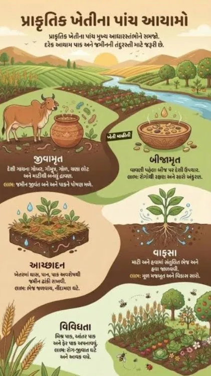 આવનારી પેઢીના આરોગ્ય અને ધરતીના ભવિષ્ય માટે પ્રાકૃતિક કૃષિ હવે સમયની અનિવાર્ય માંગ 3 natural farming future generation soil health India.jpeg