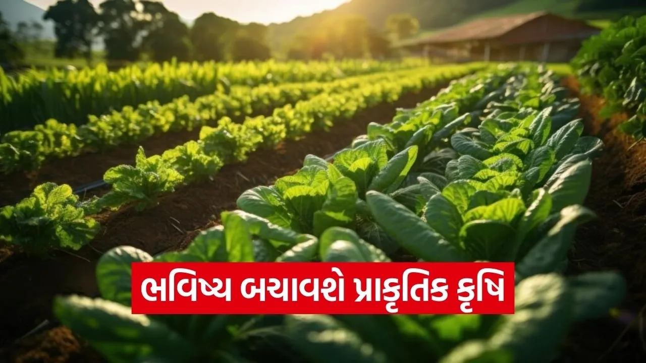 natural farming future generation soil health India.jpg