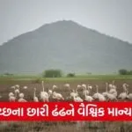 chhari dhandh kutch ramsar wetland gujarat 1
