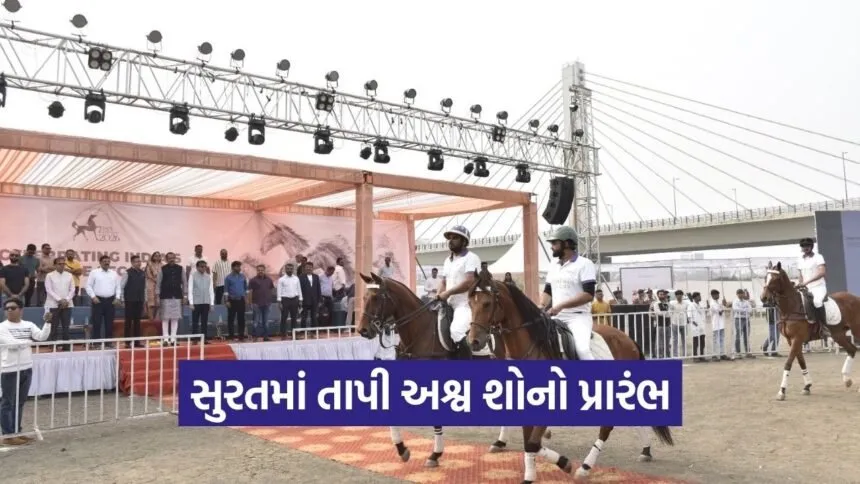 tapi horse show surat 2026 gujarat 1