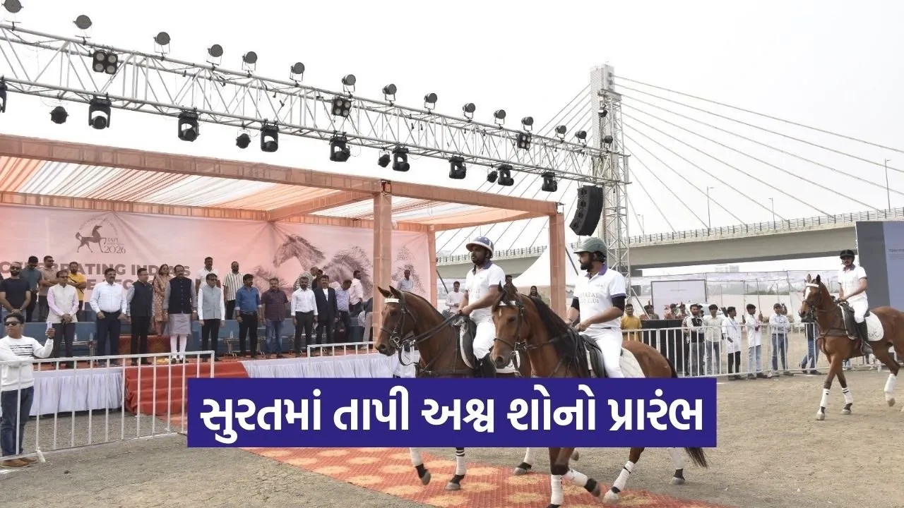 tapi horse show surat 2026 gujarat 1.jpg