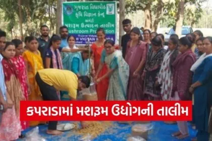 kaprada ambeti mushroom farming training valsad