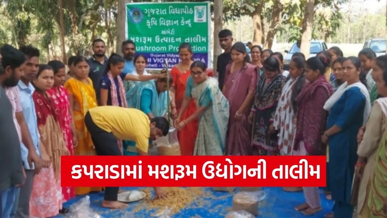 kaprada ambeti mushroom farming training valsad.jpg