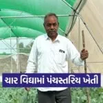 desar dungaripura natural farming success 1