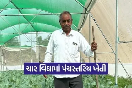 desar dungaripura natural farming success 1