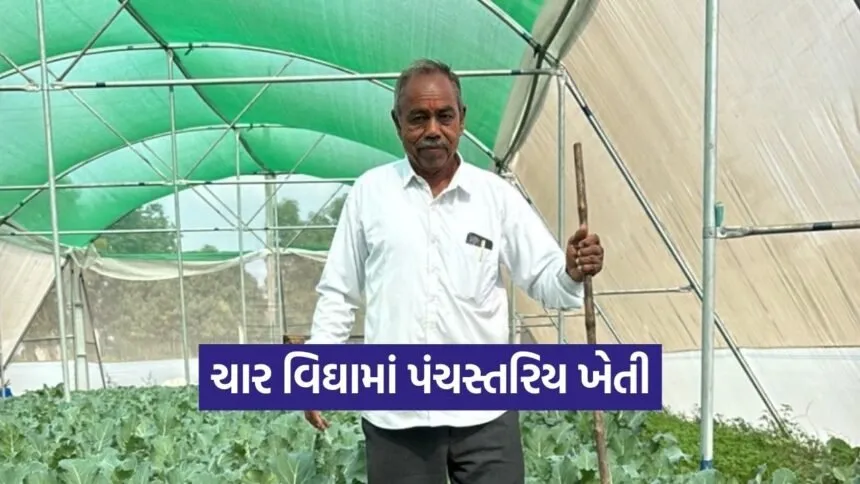 desar dungaripura natural farming success 1