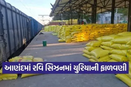 anand urea fertilizer allocation rabi season 2026 1