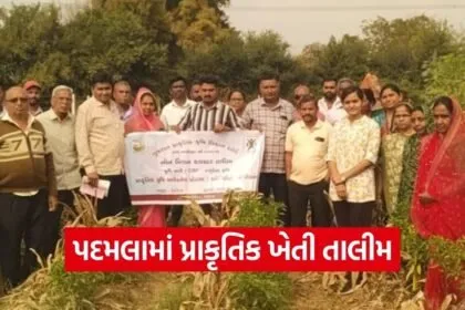padmala natural farming training vadodara 2026