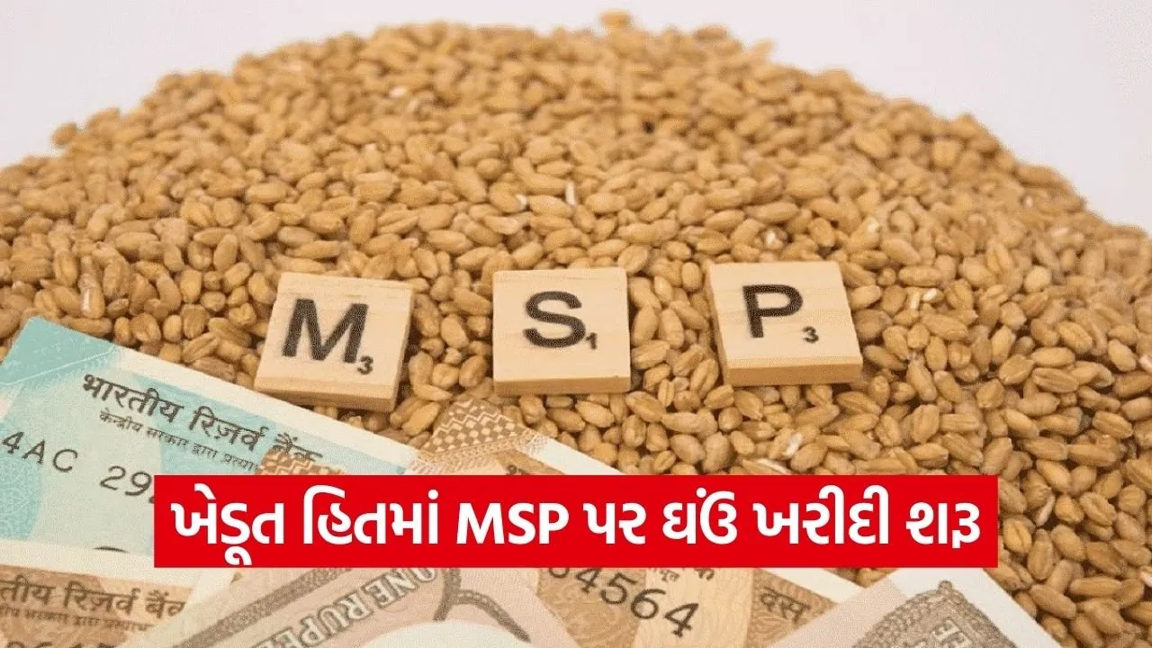 gujarat wheat msp procurement rabi 2026 27.jpg