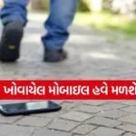 CEIR Mobile Tracking Portal India 1