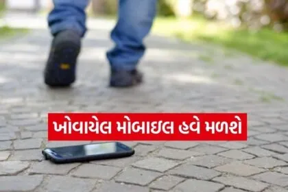 CEIR Mobile Tracking Portal India 1