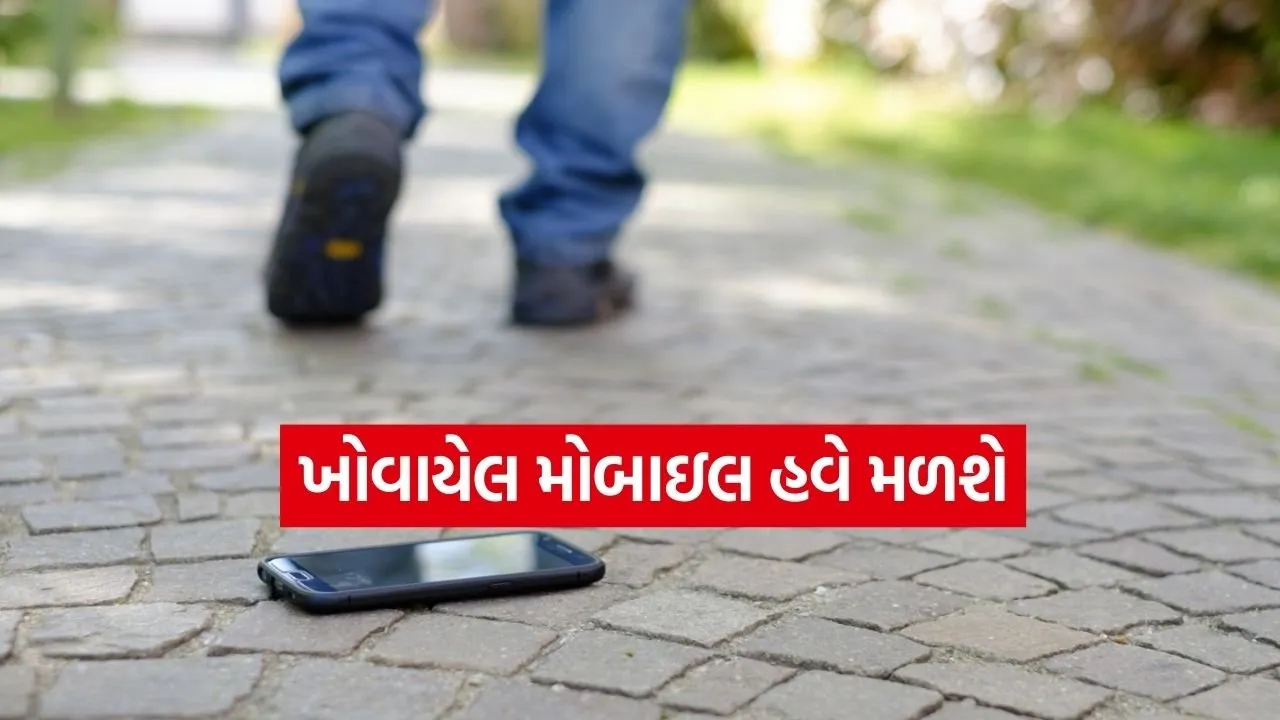 CEIR Mobile Tracking Portal India 1.jpg