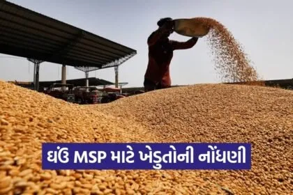 Patan Natural Farming Market And Wheat MSP Registration 2026 1