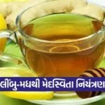 Medasvita Mukta Gujarat Lemon Honey Health Campaign 1