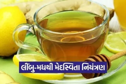 Medasvita Mukta Gujarat Lemon Honey Health Campaign 1