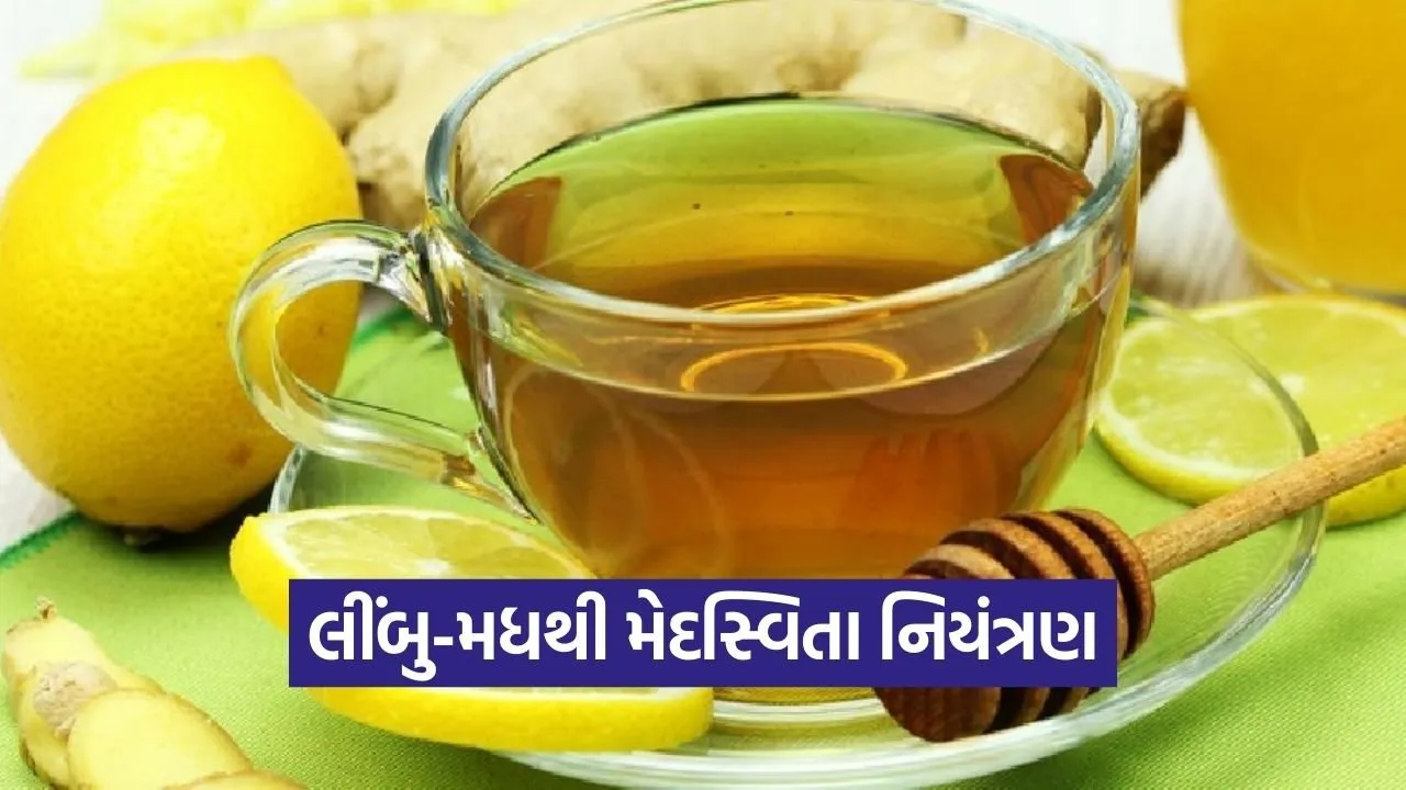 Medasvita Mukta Gujarat Lemon Honey Health Campaign 1.jpg