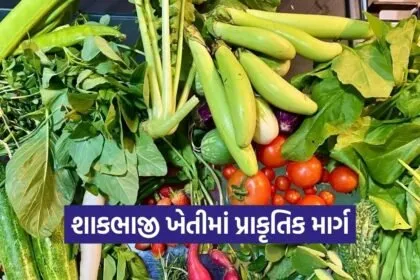 natural farming vegetable cultivation climate change 1