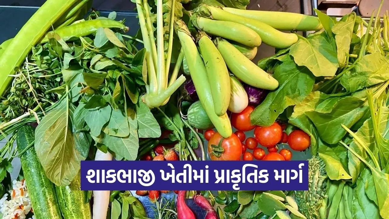 natural farming vegetable cultivation climate change 1.jpg