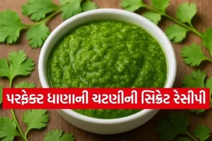 Coriander chutney