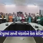 Chhota Udepur Mission Mangalam Cash Credit Camp 2026