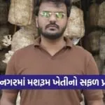 Bhavnagar Mushroom Farming Success Story 1