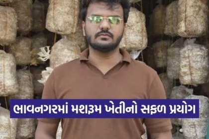 Bhavnagar Mushroom Farming Success Story 1