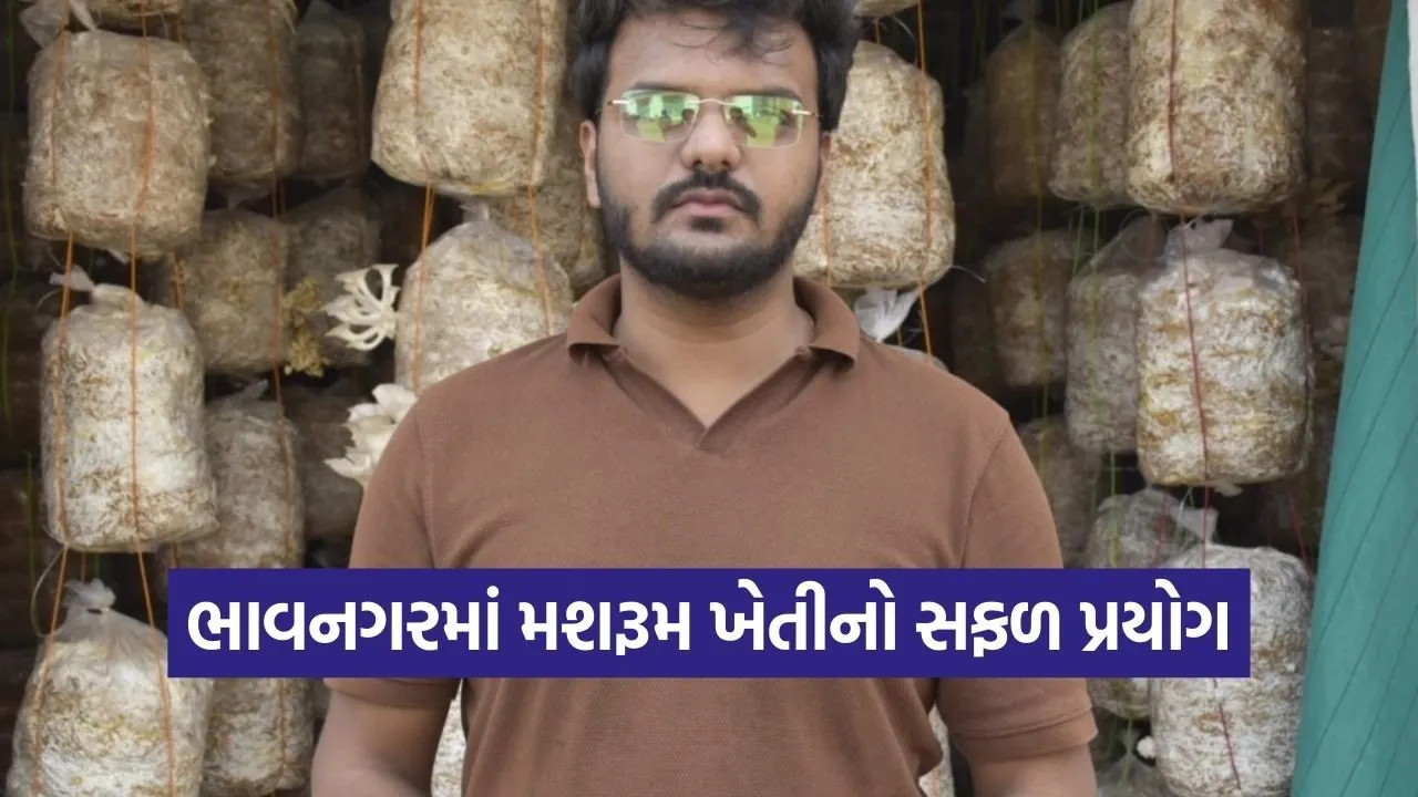 Bhavnagar Mushroom Farming Success Story 1.jpg